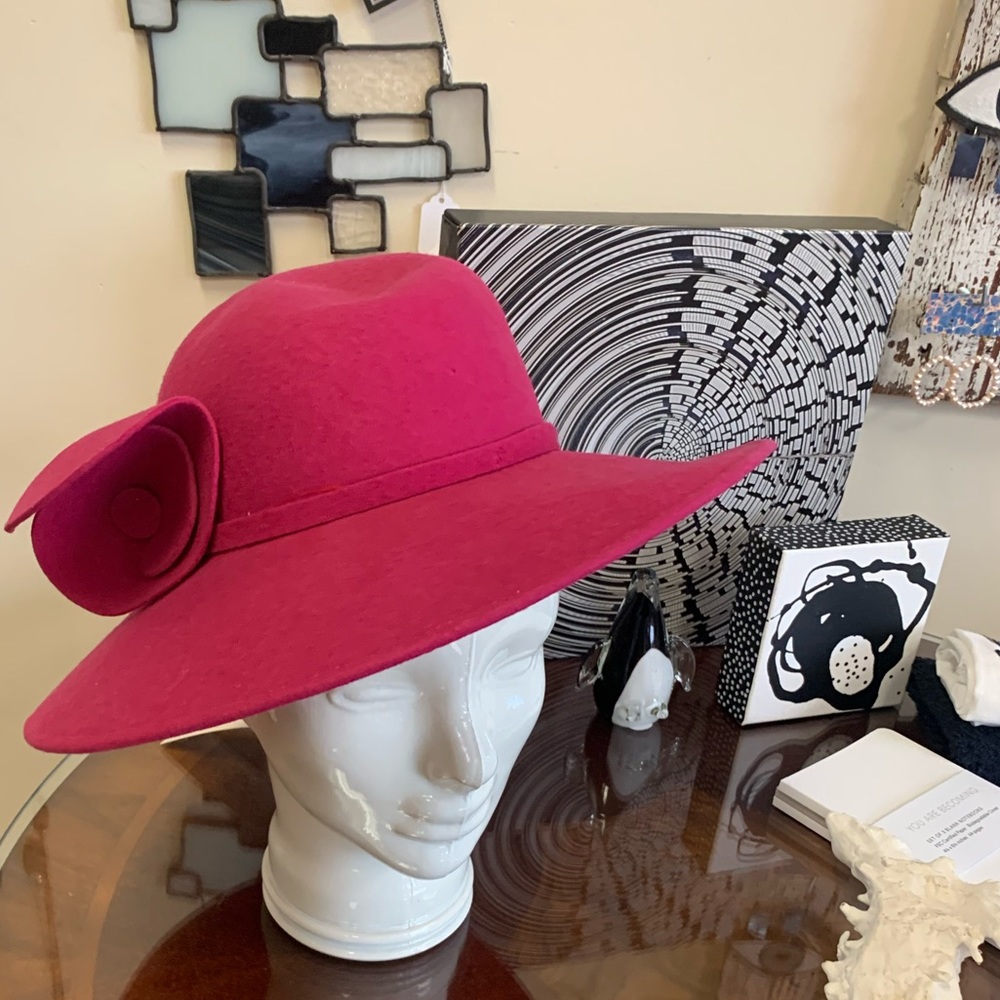 NWT - Pink Mysha Hat
